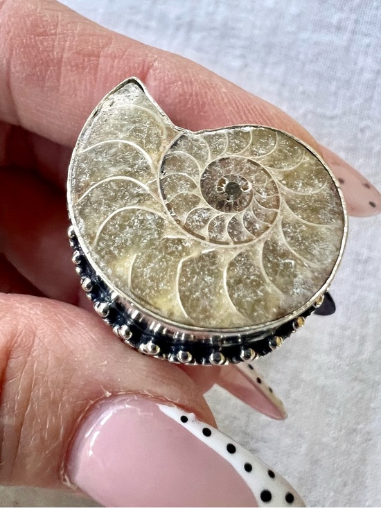 Jewelry - 925 AMMONITE Fossil Past Lives Ring 9.5